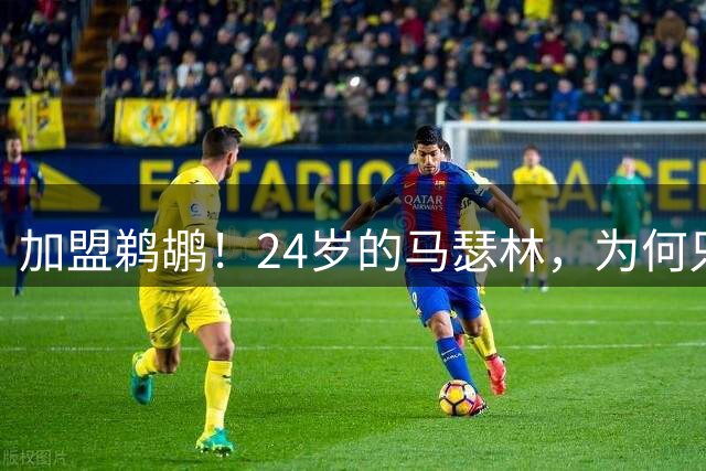 加盟鹈鹕！24岁的马瑟林，为何只值2年1600万？